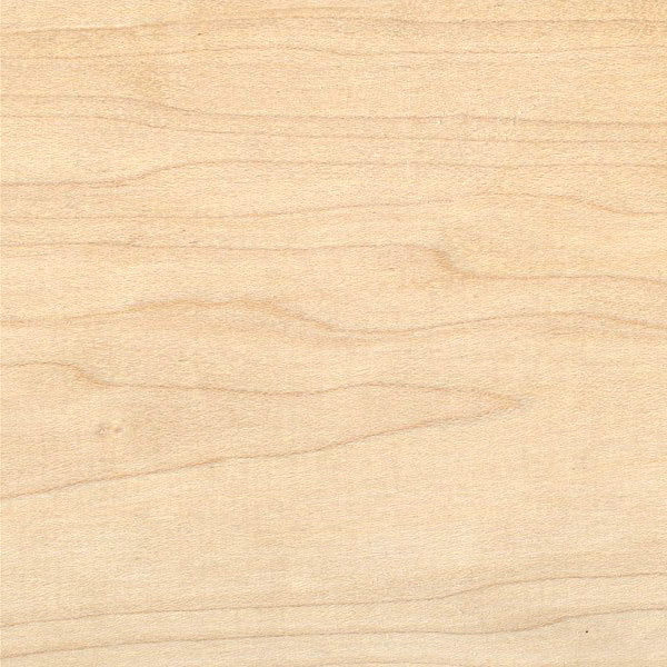 Hard Maple